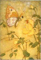 411129.JPG