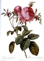 302451.JPG