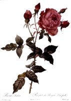 302438.JPG