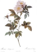 302426.JPG