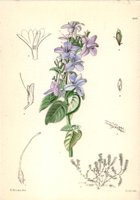 209056.JPG