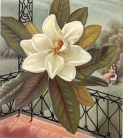 207638.JPG