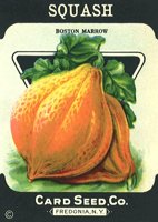 410022.JPG