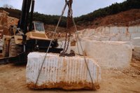 21700094.jpg