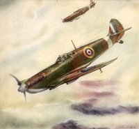 409077.JPG