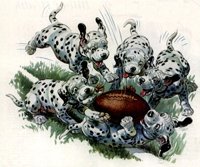 309475.JPG
