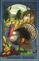 205191.JPG