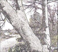 ART1190.jpg