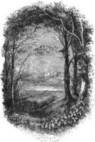 GRAY1245.jpg