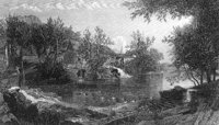 GRAY1243.jpg