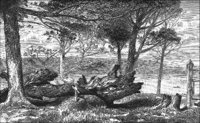 GRAY1242.jpg