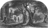 GRAY1241.jpg