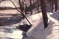 LANDSCP4.jpg