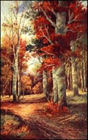 LANDSCP1.jpg