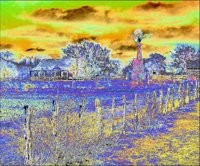 ART1301.jpg