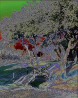 ART1287.jpg