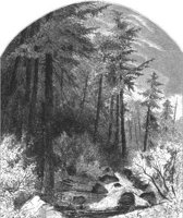 GRAY1286.jpg