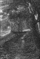 GRAY1284.jpg