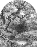 GRAY1282.jpg