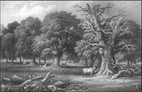 GRAY1281.jpg