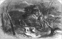 GRAY1279.jpg
