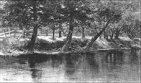 GRAY1278.jpg