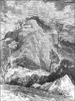 GRAY1277.jpg