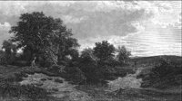 GRAY1275.jpg