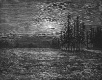 GRAY1273.jpg