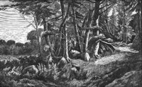 GRAY1271.jpg