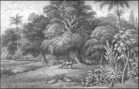 GRAY1268.jpg