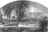 GRAY1267.jpg