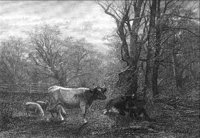 GRAY1266.jpg