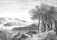 GRAY1265.jpg