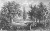 GRAY1257.jpg