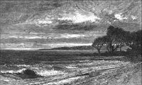 GRAY1255.jpg