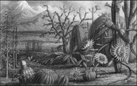 GRAY1252.jpg