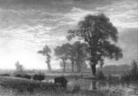 GRAY1251.jpg