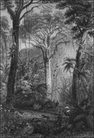 GRAY1250.jpg
