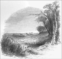 GRAY1249.jpg