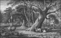 GRAY1248.jpg