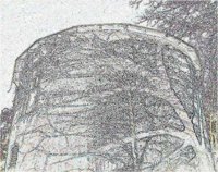 ART1179.jpg