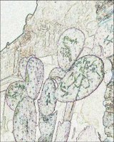 ART1229.jpg