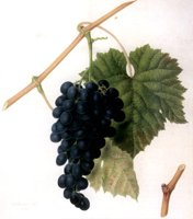 209199.JPG
