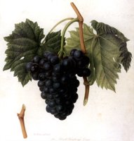 209193.JPG