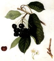 209179.JPG