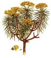 112820.JPG