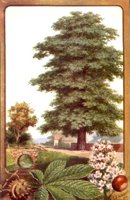 402227.JPG