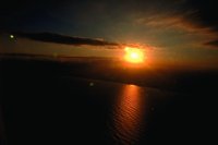 29220077.jpg