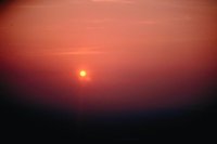 29160036.jpg
